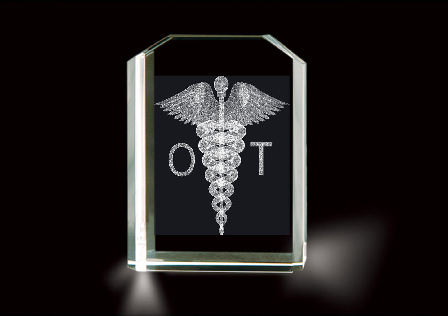 Caduceus - OT (Occupational Therapist)